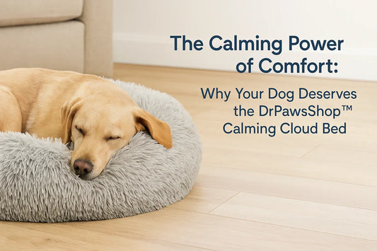 Golden retriever and fluffy gray calming dog bed in a cozy living room, showcasing a peaceful and anxiety-free environment, perfect for dog comfort and rest.