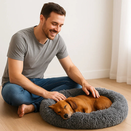 Dog resting peacefully in a gray calming pet bed while the owner gently pets it — showcasing comfort, bonding, and anxiety-reducing dog bed benefits.