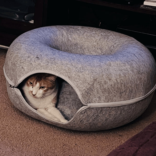 How I Found the Best Cat Bed for My Cat – CozyNest™ Cat Cave Bed - DrPawsShop™