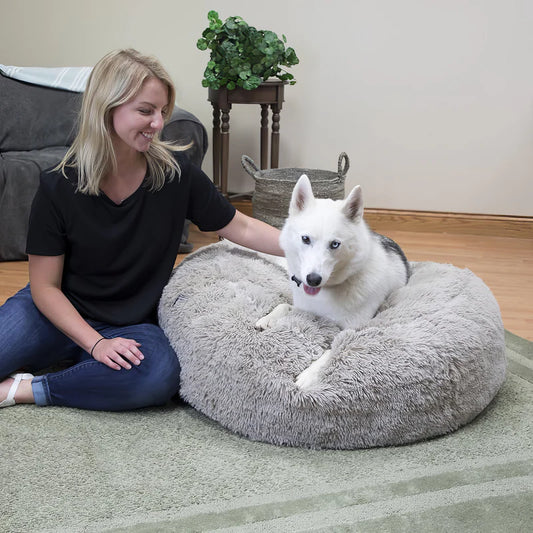 Happy white dog resting on a cozy orthopedic dog bed with its owner sitting nearby, showcasing comfort and bonding.