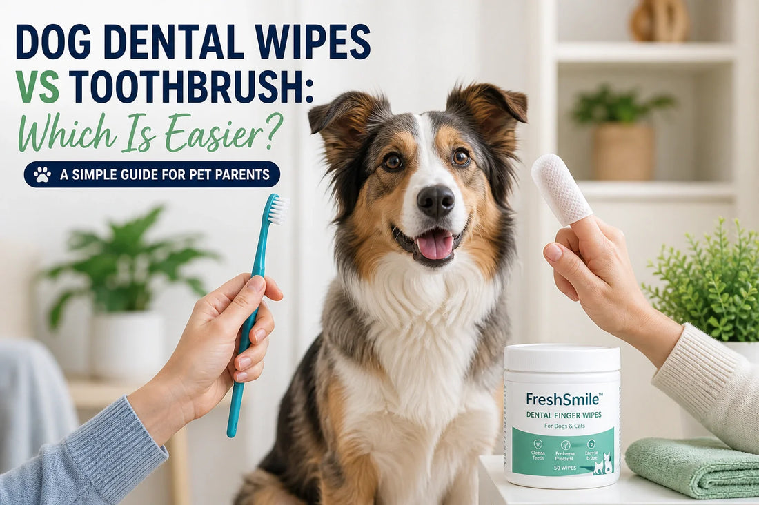 Dog dental wipes vs toothbrush comparison for easier pet dental care at home