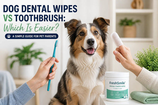 Dog dental wipes vs toothbrush comparison for easier pet dental care at home