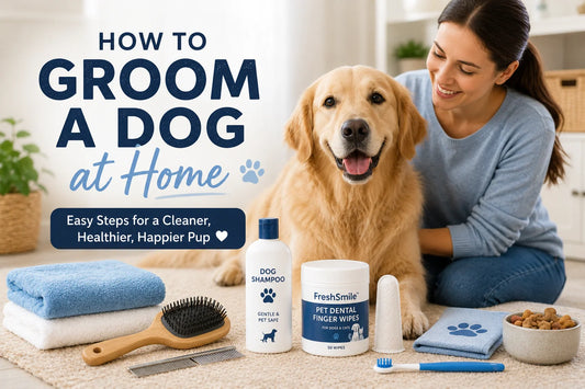 Dog grooming at home with brush, shampoo, towel, and dental wipes