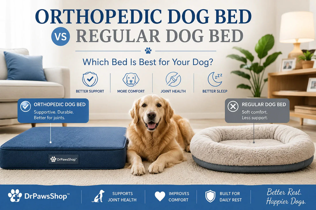 Orthopedic dog bed vs regular dog bed comparison for dog comfort and support